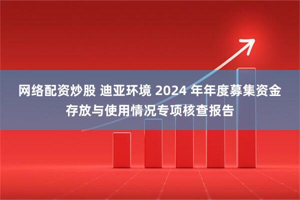 网络配资炒股 迪亚环境 2024 年年度募集资金存放与使用情况专项核查报告