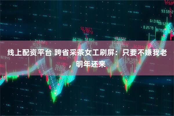 线上配资平台 跨省采茶女工刷屏：只要不嫌我老，明年还来