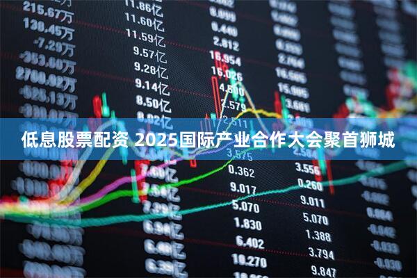 低息股票配资 2025国际产业合作大会聚首狮城
