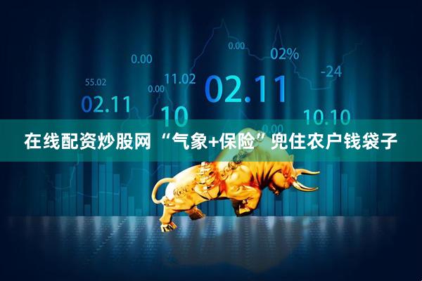 在线配资炒股网 “气象+保险”兜住农户钱袋子