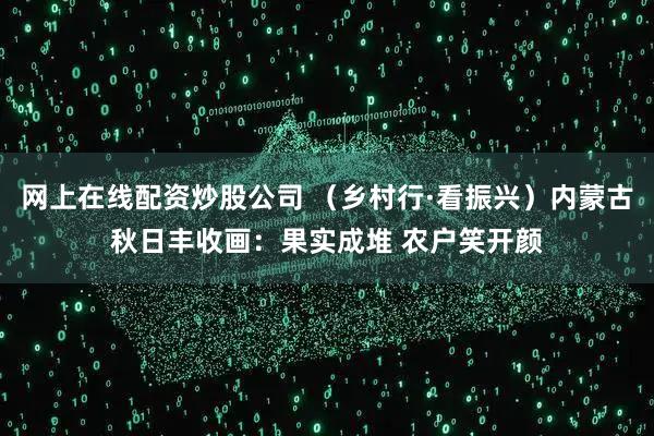 网上在线配资炒股公司 （乡村行·看振兴）内蒙古秋日丰收画：果实成堆 农户笑开颜